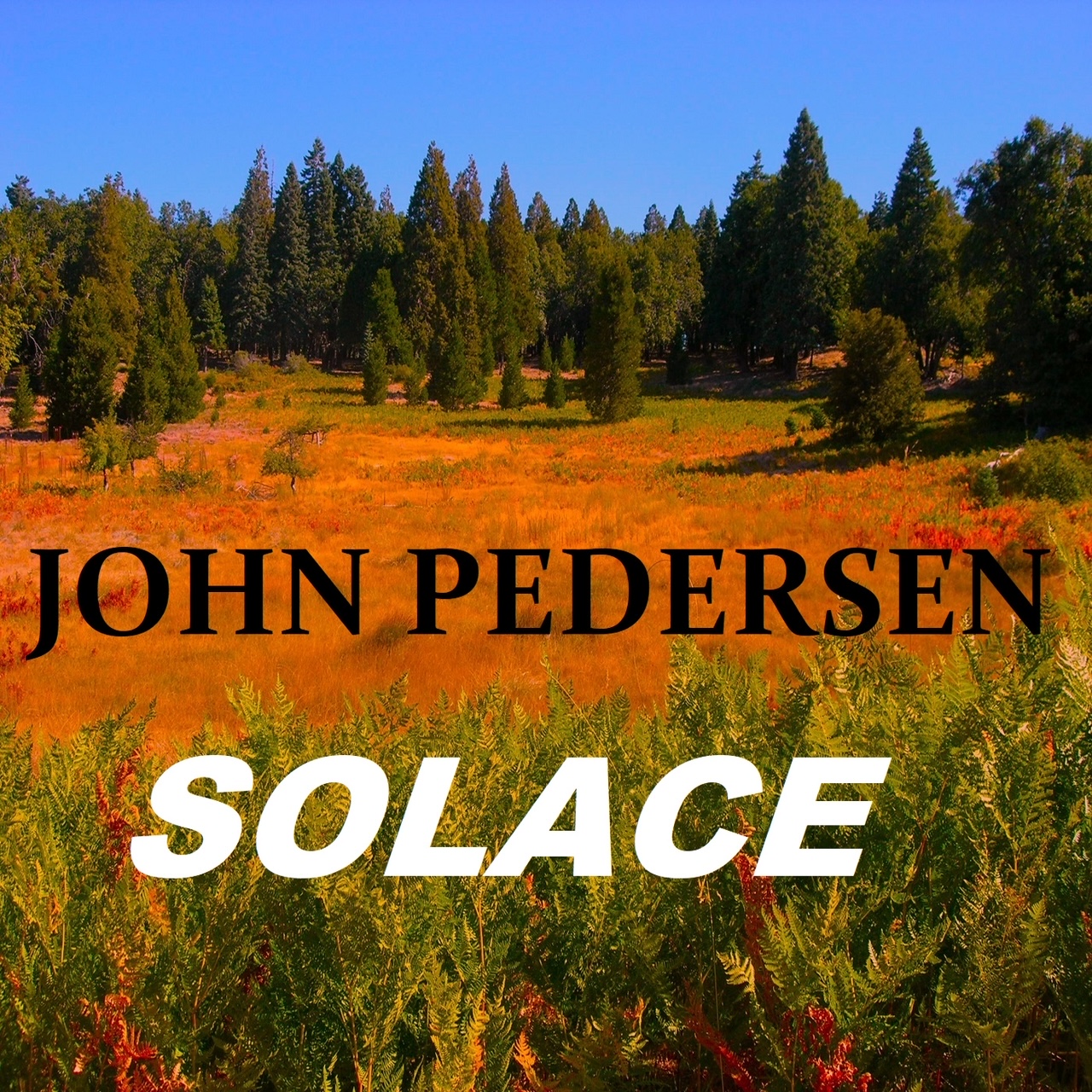 Solace